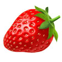 Strawberry Fields logo